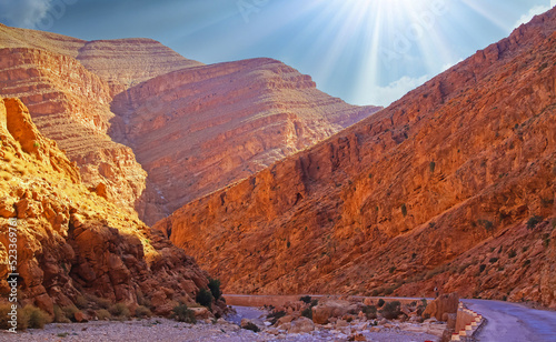 Beautiful red sandstone valley landscape  empty curved road  narrow canyon  morning sun rays - Todra  todgha  gorge  Morrocco