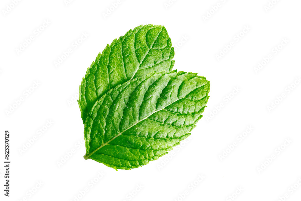 Mint leaves Mint leaves isolated on transparent background - obrazy, fototapety, plakaty 