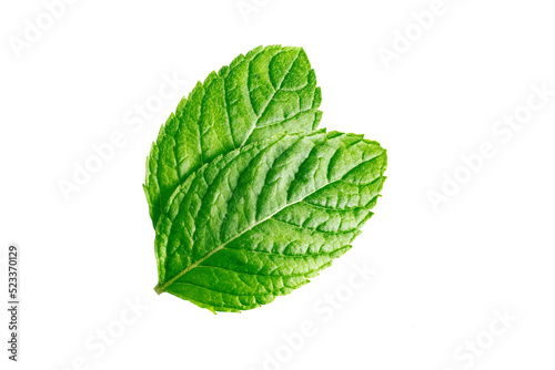 Mint leaves Mint leaves isolated on transparent background photo