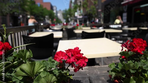 Close up selective focus shot of red geranium flowers in pots on a Montreal street in summer, blurry restaurant tables and passers by in background.