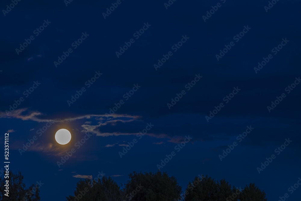 Beautiful nature landscape view of bright moon in night cloudy sky over trees tops. Sweden. 