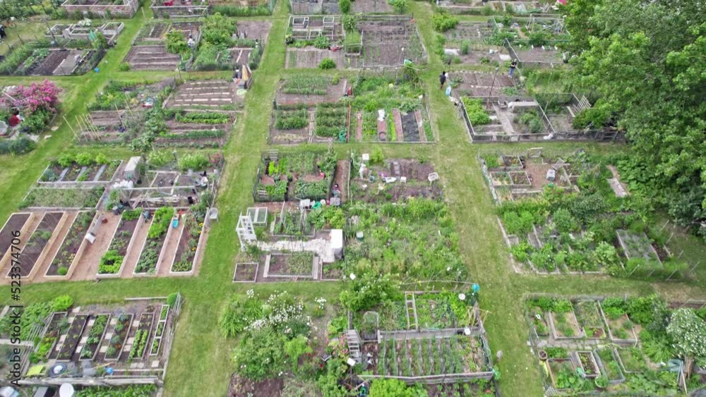 Neighbourhood urban garden, with hands grown green vegetables Agriculture in the city by citizens near their buildings and houses. Aerial view of community farming garden. Neighbourhood urban garden, with hands grown green vegetables Agriculture in the city by citizens near their buildings and houses. Aerial view of community farming garden.
