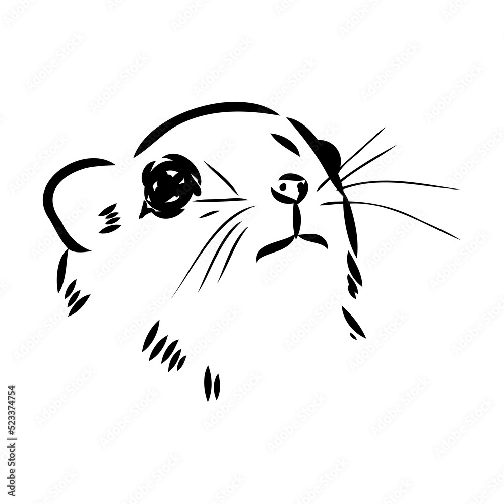 illustration vector hand draw doodles of flying squirrel or Pteromyini or Petauristini isolated on white background illustration vector hand draw doodles of flying squirrel or Pteromyini or Petauristini isolated on white background