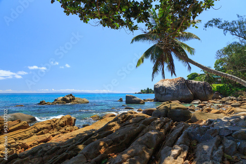 Calm rocky coast of the sea with palm tree providing shadow at Machabee Rock Pool - Seychelles