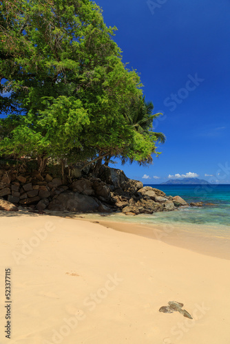 Beautiful Top Soleil beach with tree and yellow sand at Mahé - Seychelles