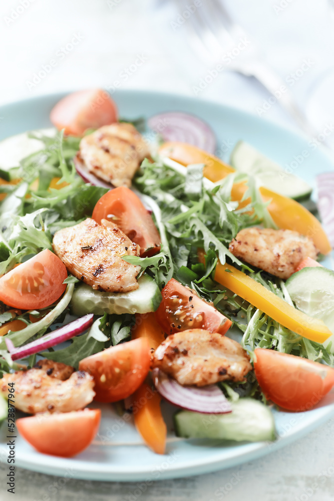 Healthy Salad with Chicken Breast, Cherry Tomatoes, Cucumber, Orange Pepper, Endive and Red Onion. Close up.	