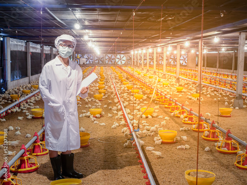 The woman in the chicken farm business