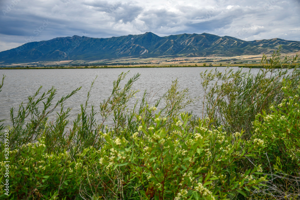 Cutler Marsh and mountains, Cache Valley, Utah