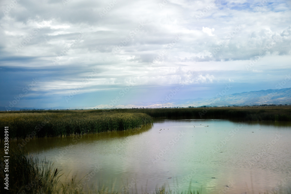 Marsh in Cutler Marsh, Cache Valley, Utah