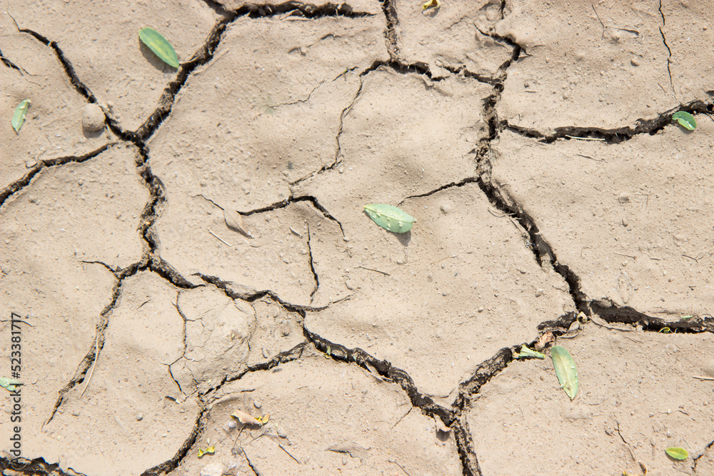 Fototapeta premium Cracked dried clay with dirt.