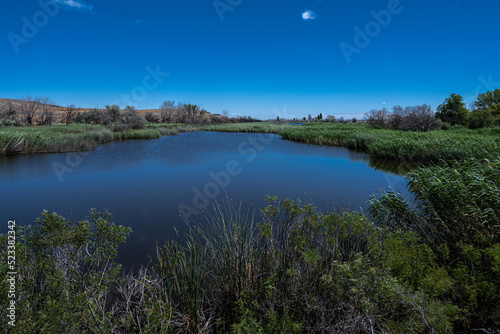 Umatilla National Wildlife Refuge in Washington State photo