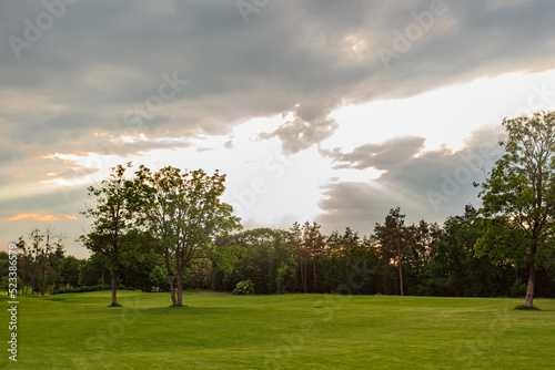 Panoramic view of beautiful summer park landscape with cloudy sky