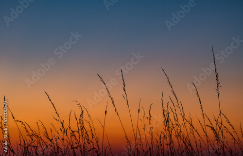Colorful sunset with grasses in foreground and blurs in background