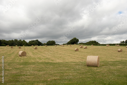 Bales of straw in the countryside.
