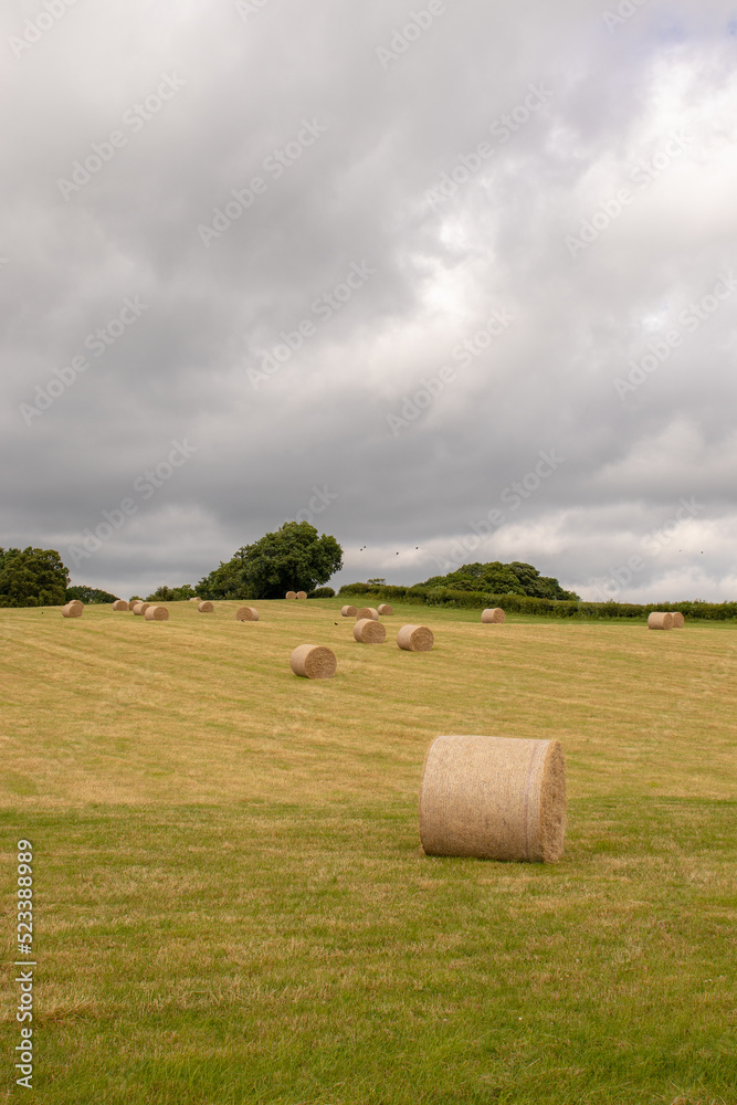 Bales of straw in the countryside. Bales of straw in the countryside.