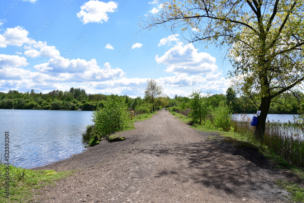 Zespół przyrodniczo-krajobrazowy Żabie Doły, Park, teren rekreacyjny Zespół przyrodniczo-krajobrazowy Żabie Doły, Park, teren rekreacyjny