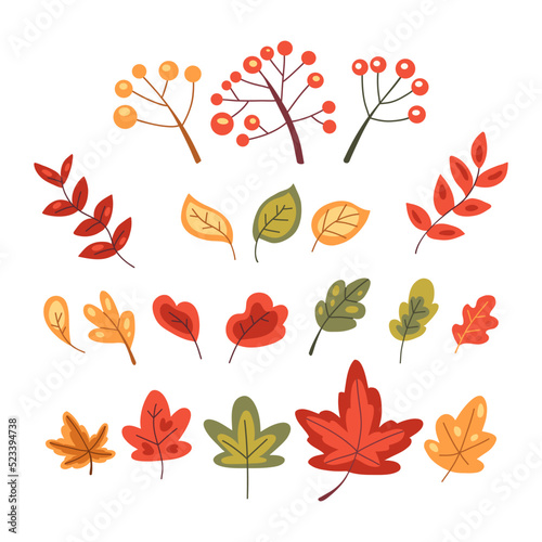 Set of autumn leaves and berries