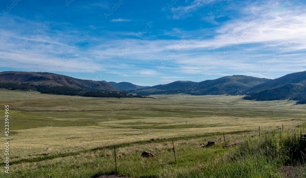 A Valles Caldera Meadow In The Morning During  Summer In NM.