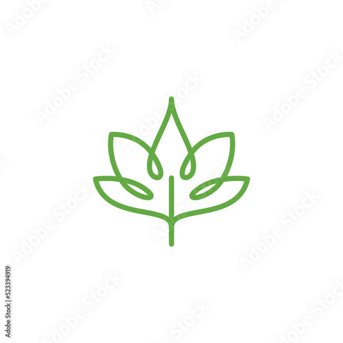 linear lotus logo templates. Vector floral linear lotus logo. Design lotus flower outline. Vector illustration. Lotus icon.