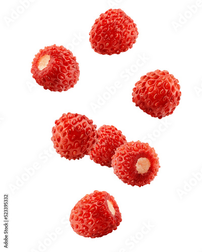 Falling wild Strawberry isolated on white background  clipping path  full depth of field