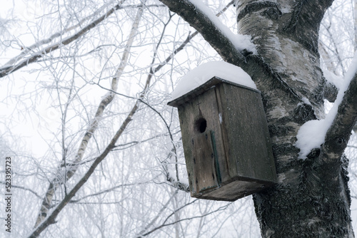 birdhouse on a tree in winter