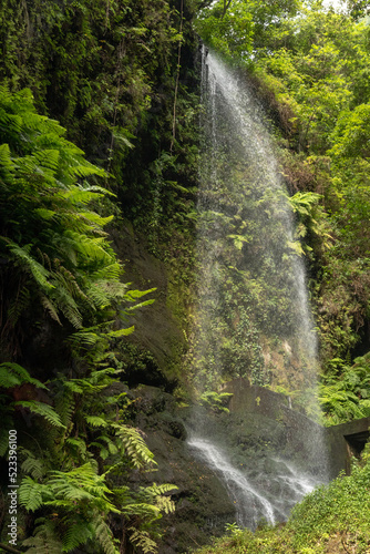 Cascada de los tilos, la palma, islas canarias