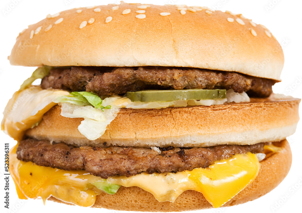 Fast Food Hamburger