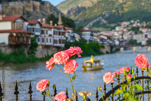 Historic mansions in Amasya, Turkey - Amasya is located in the north of Anatolia, in the inner part of the Middle Black Sea Region, at the junction point of the roads which connect Black Sea Coast to  © Orhan Çam