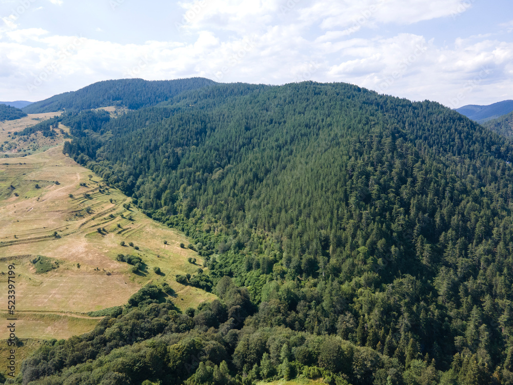 Fototapeta premium Aerial Summer view of Rhodope Mountains, Bulgaria