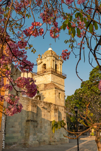Catedral de Oaxaca 1