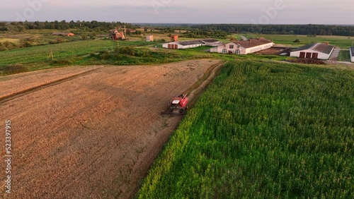 Combine Harvester on Wheat harwesting in field at farm. Farm buildings with cows, aerial view. Cowshed near agriculture field. Wheat import, maize (corn). Crop prices in food crisis.  photo