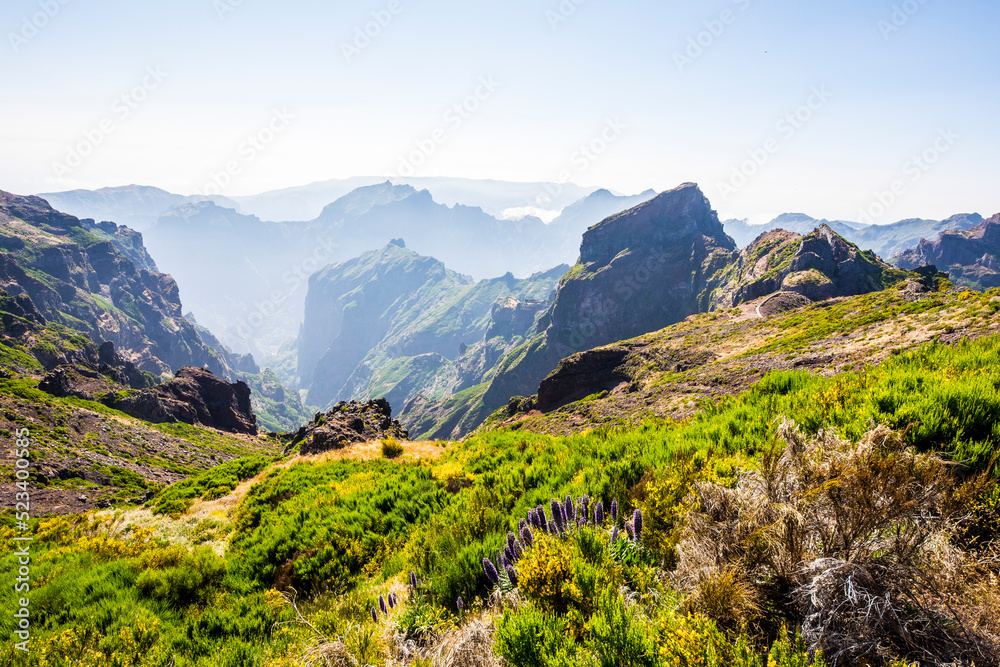 Naklejka premium Landscape at the Island of Madeira, Portugal, Europe