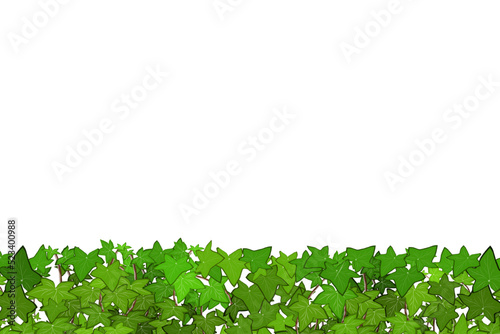 Ornamental green plant in the form of a hedge.Realistic garden shrub, seasonal bush, boxwood, tree crown bush foliage.For decorate of a park, a garden or a green fence. 