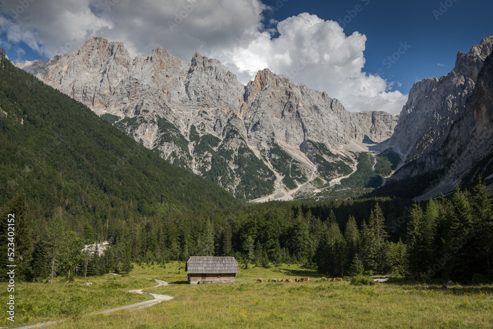 alpine pasture below the mountains in the Julian Alps