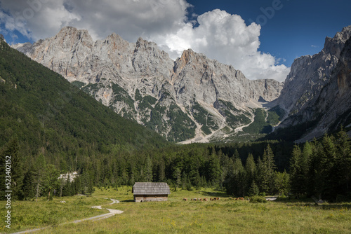alpine pasture below the mountains in the Julian Alps