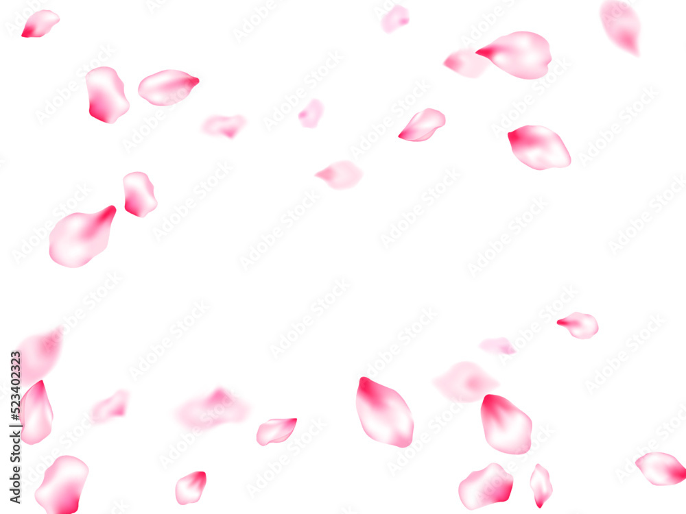 Pink sakura petals confetti flying and falling Pink sakura petals confetti flying and falling