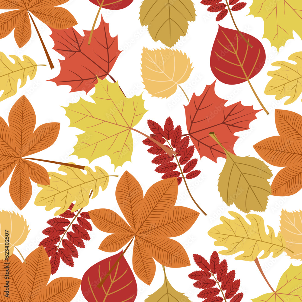 Obraz premium Autumn pattern,leaves of maple,oak,rowan, birch trees on a white background.Vector pattern can be used in textiles, postcards, autumn store designs.