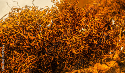 Orange rusty steel twisted spiral from the lathe shavings. Metal shaving - industrial garbage