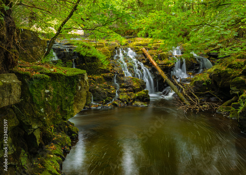 One of a set of 4 photos of a waterfall rarly seen but is often heard.  It is located in a small gulley near Haltwhistle which is extremely difficult to get to.