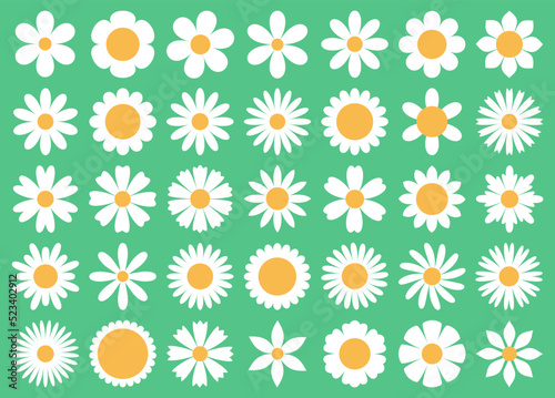 Cartoon daisy flowers. Different primitive chamomiles, decorative white simple plants, various petals, summer blossom round icons, decor elements, tidy vector isolated botanical set