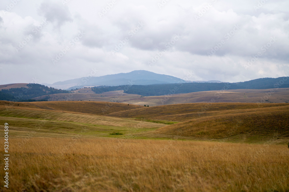Fototapeta premium Hills