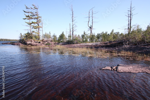 Inlet on an island in Lake Isabella in Boundary Waters Canoe area and wilderness photo