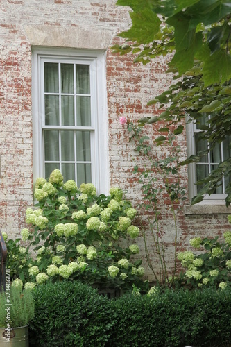 charming cottage with white washed brick and windows with summer flowers