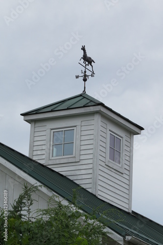white cupola with windows and black tin horse weather vane and tin roof
