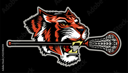 tiger mascot holding lacrosse stick in it's mouth for school, college or league photo