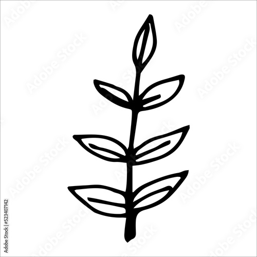 Vector single element rowan leaf black silhouette. © Electrovenik