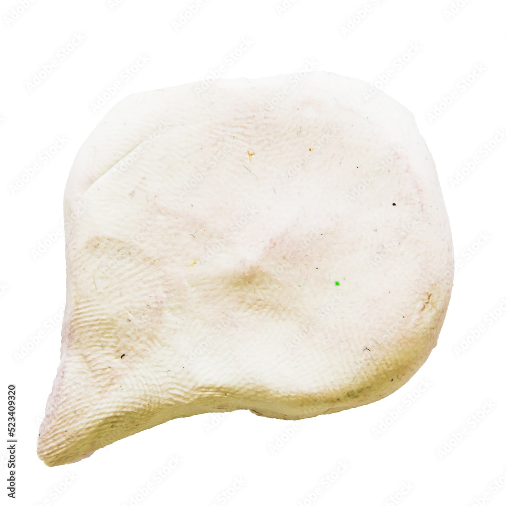 plasticine speech bubble on isolated background plasticine speech bubble on isolated background