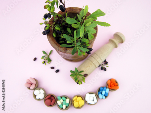 Wallpaper Mural      Medicine herb. Herbal pills with healthy medical plant. Green leaf, alternative drug. Natural pharmaceutical capsule. Vitamin supplement for care, medication, treatment.                       Torontodigital.ca