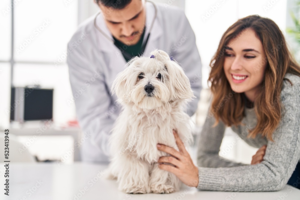 Man and woman veterinarian auscultating dog at veterinary clinic