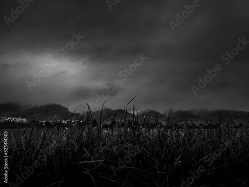 Düstere schwarz-weiß Landschafts-Szenerie mit dunklen Wolken und Schilf im Vordergrund.